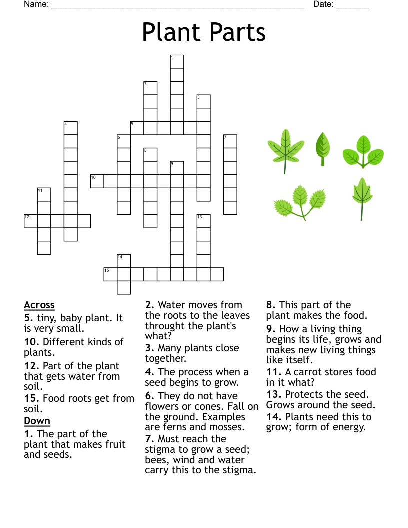 4th grade science crossword wordmint