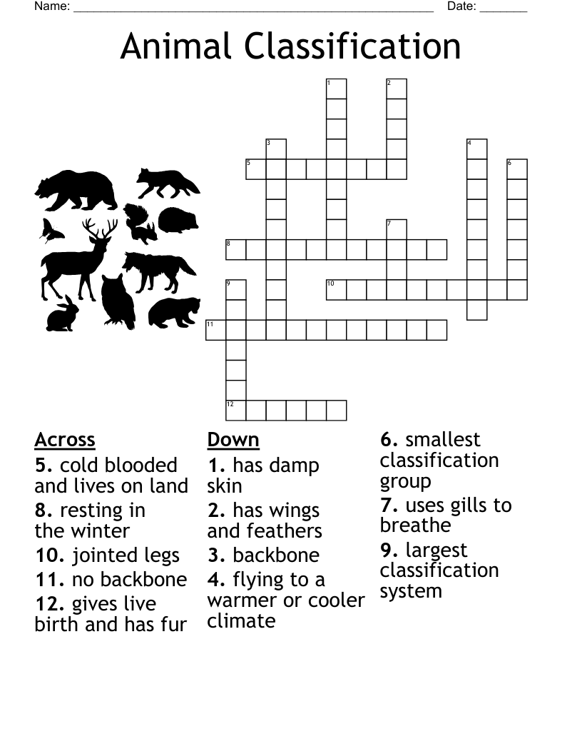 Animal Classification Crossword WordMint Animal Classification Crossword WordMint
