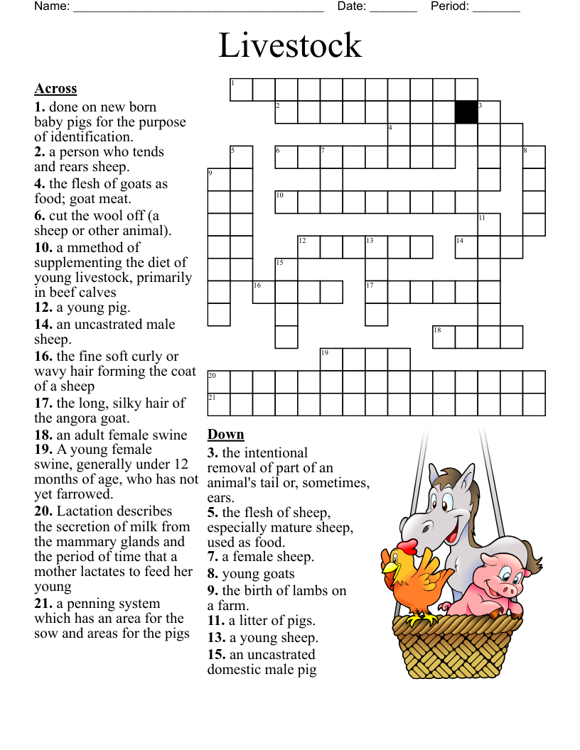 Animal Control Crossword WordMint Animal Control Crossword WordMint