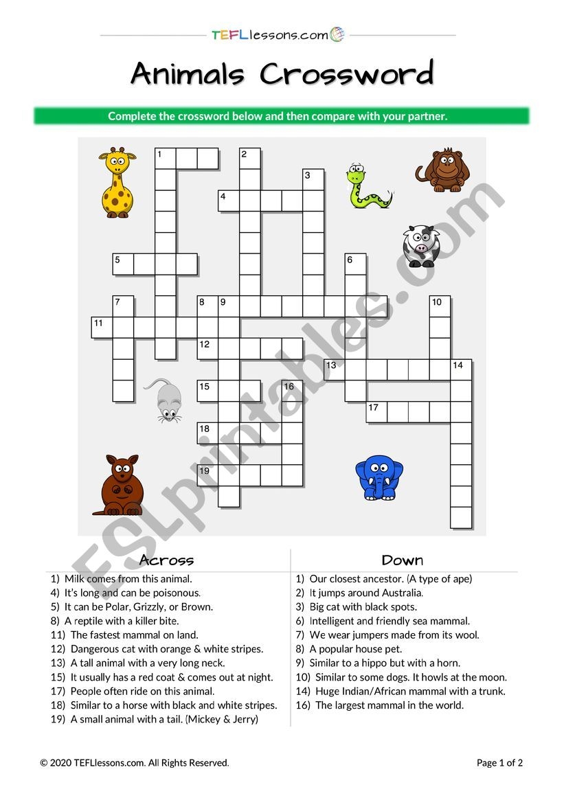 Animal Crossword ESL Worksheet By TEFL Lessons