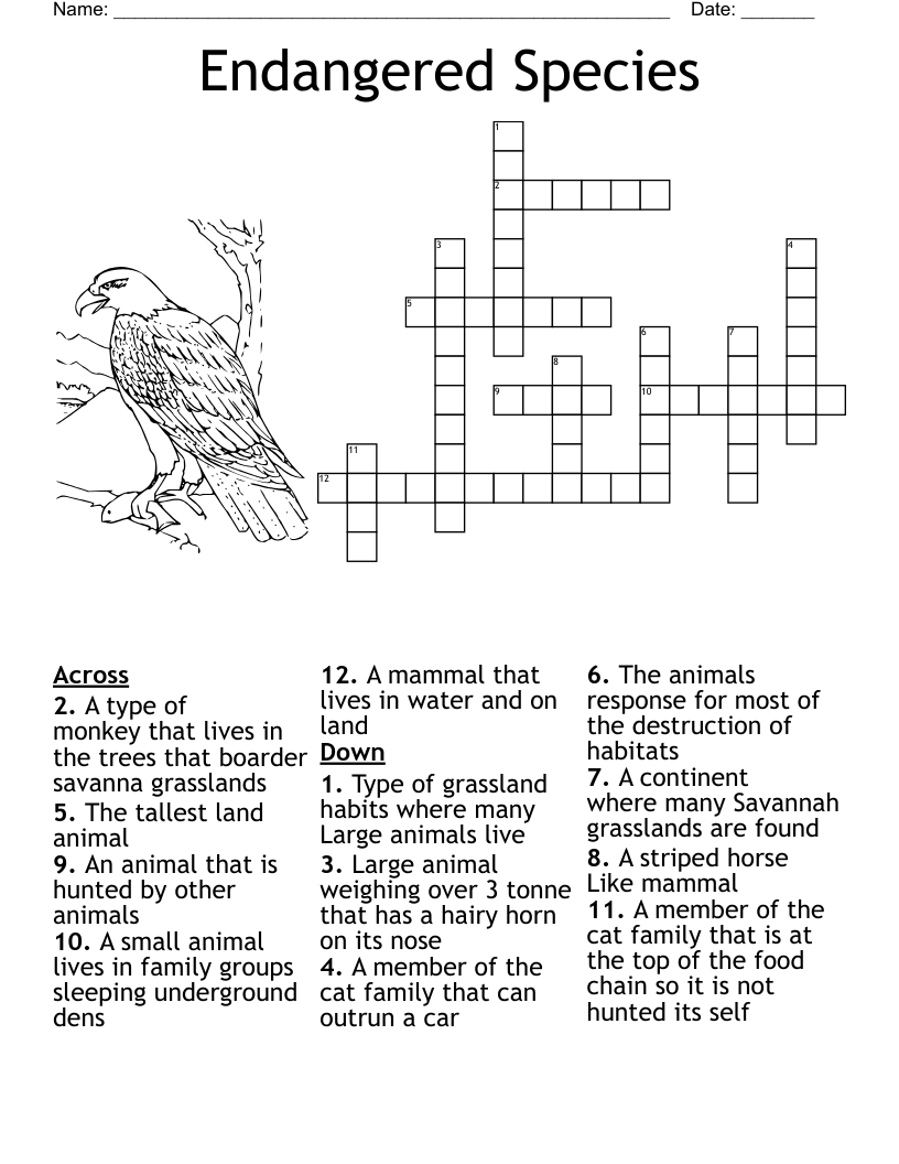 Australian Animals Crossword WordMint Australian Animals Crossword WordMint