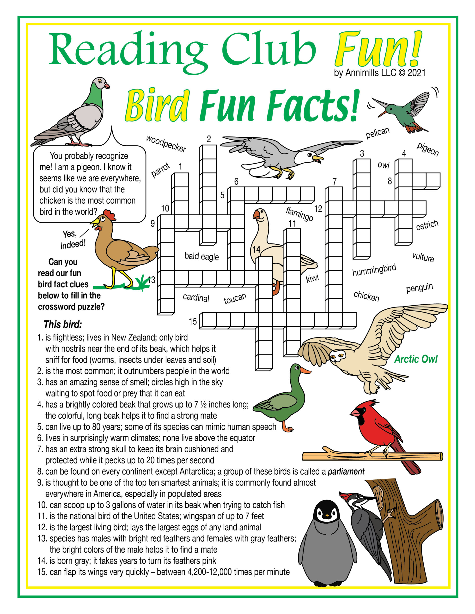Bird Adaptations Beaks Feet Etc Printable Puzzles Made By Teachers Bird Adaptations Beaks Feet Etc Printable Puzzles Made By Teachers