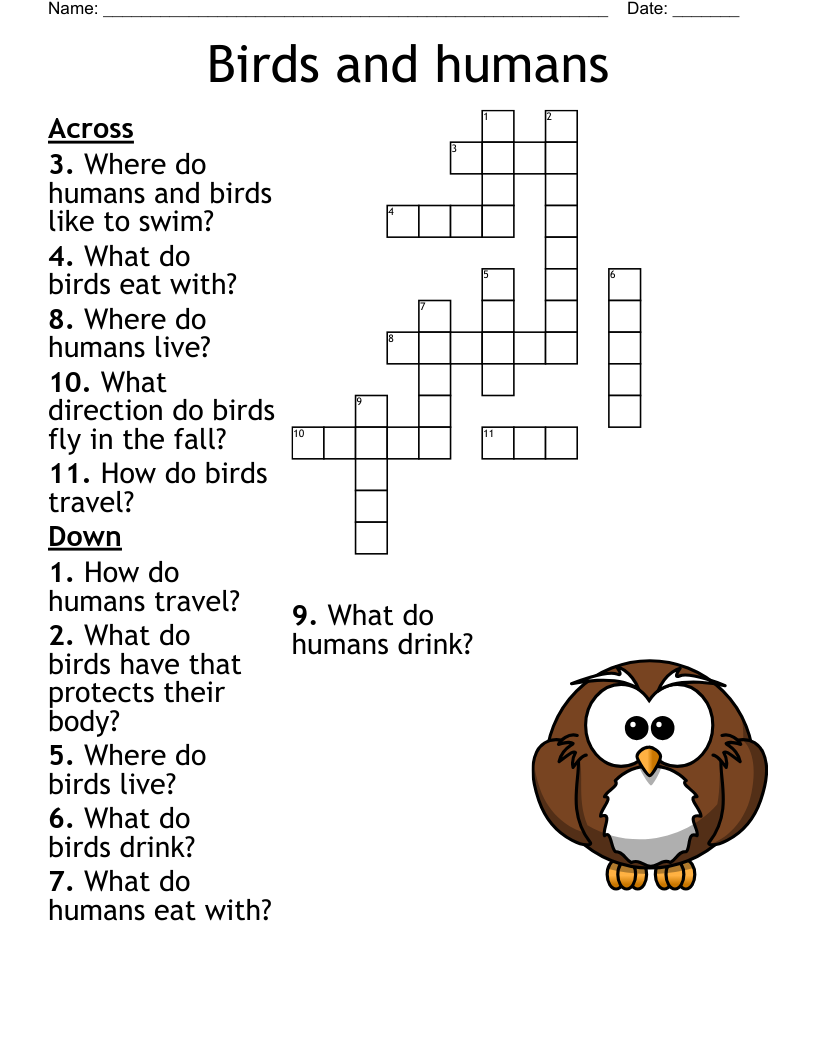 Bird Crossword WordMint Bird Crossword WordMint