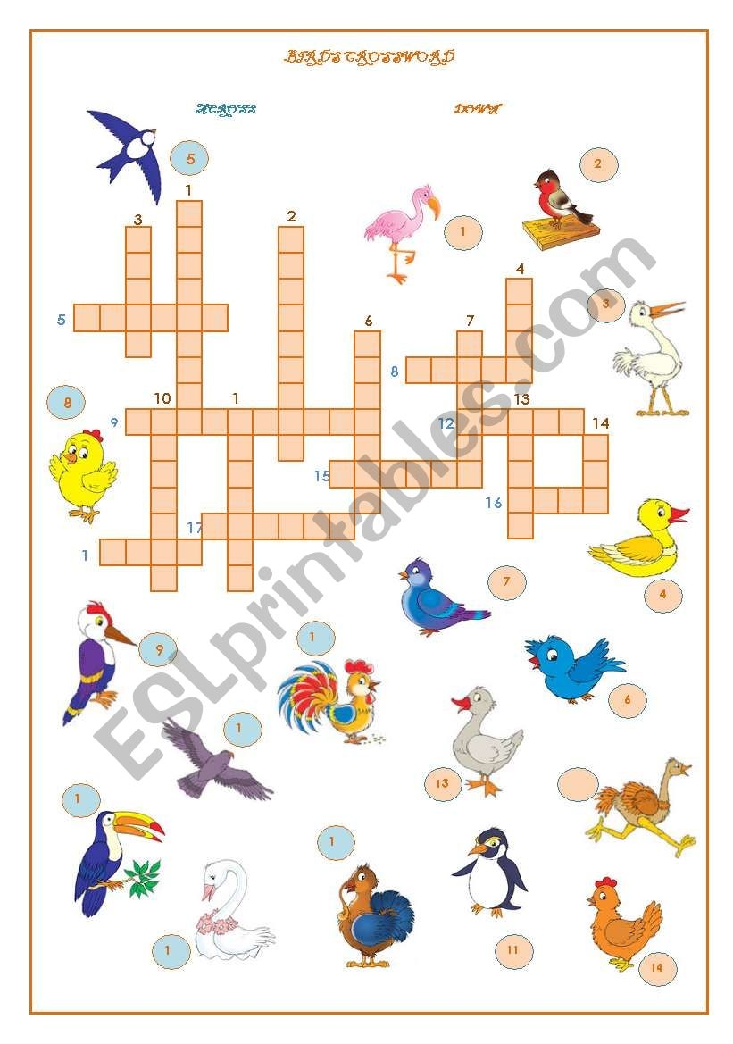 Birds Crossword ESL Worksheet By Szilvi Birds Crossword ESL Worksheet By Szilvi