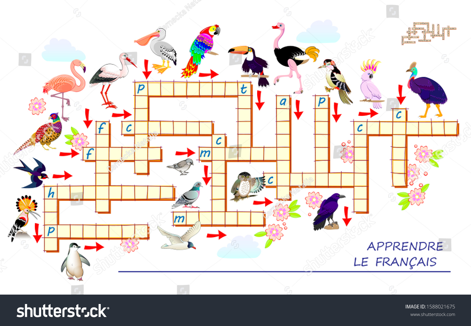 Bird Crossword Puzzle Printable Bird Crossword Puzzle Printable