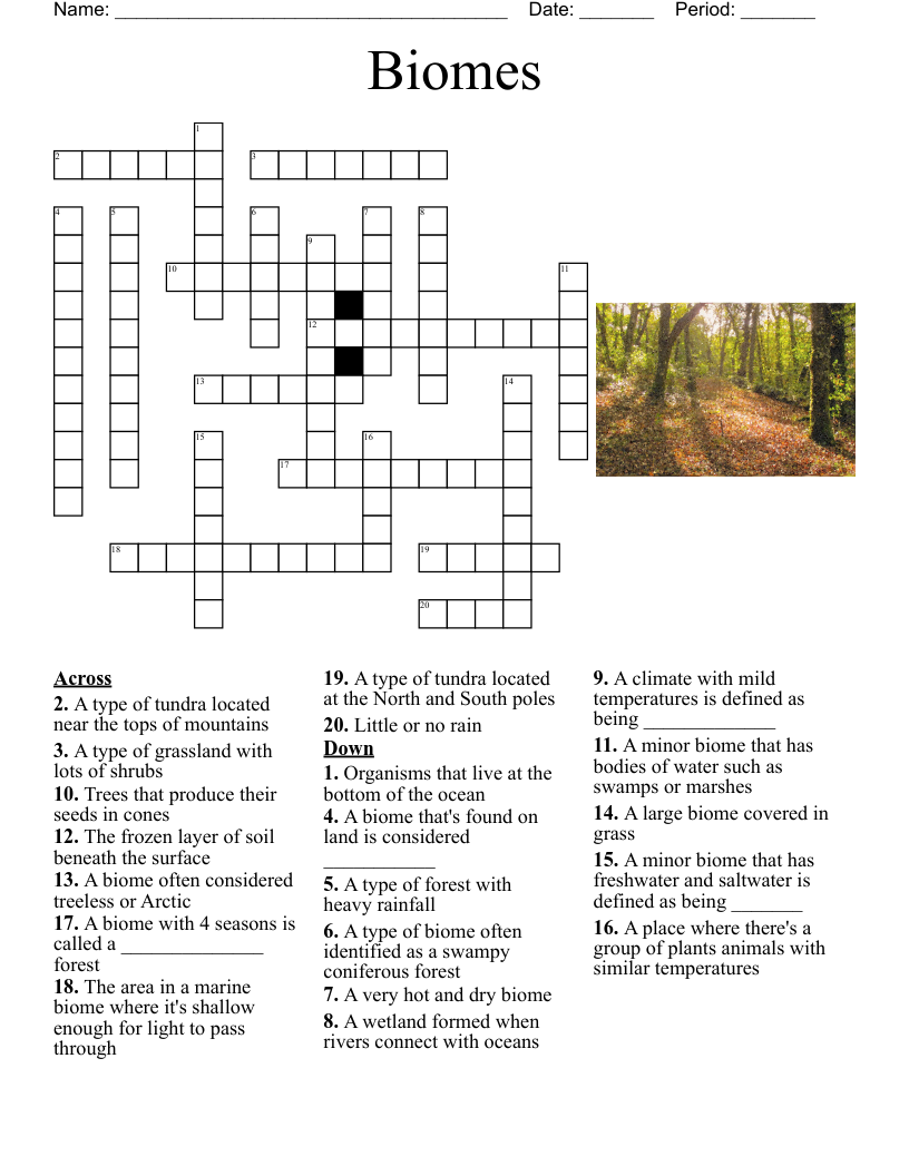 Deciduous Forest Crossword WordMint