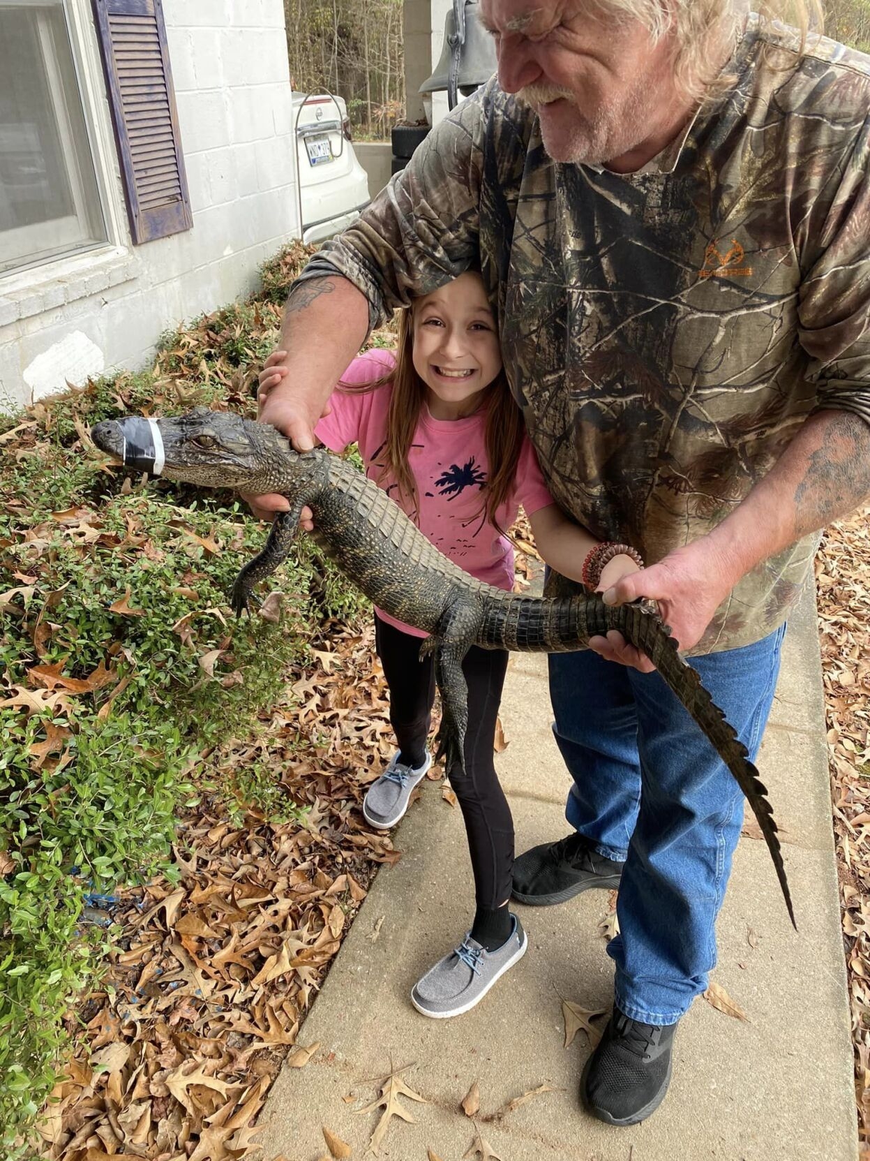 Greenwood Man Snatches gator Spotted By Roadside News Indexjournal