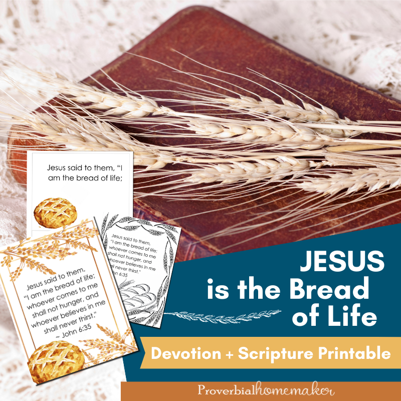 Large Print Bible Crossword Puzzles Printable Bread of Life
