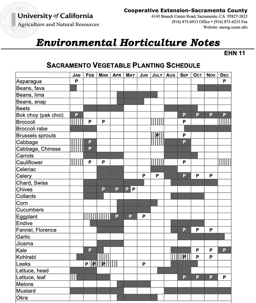 Let s Grow A Garden Part 1 Temperature A Key Factor For Growing Our Food Let s Grow A Garden Part 1 Temperature A Key Factor For Growing Our Food