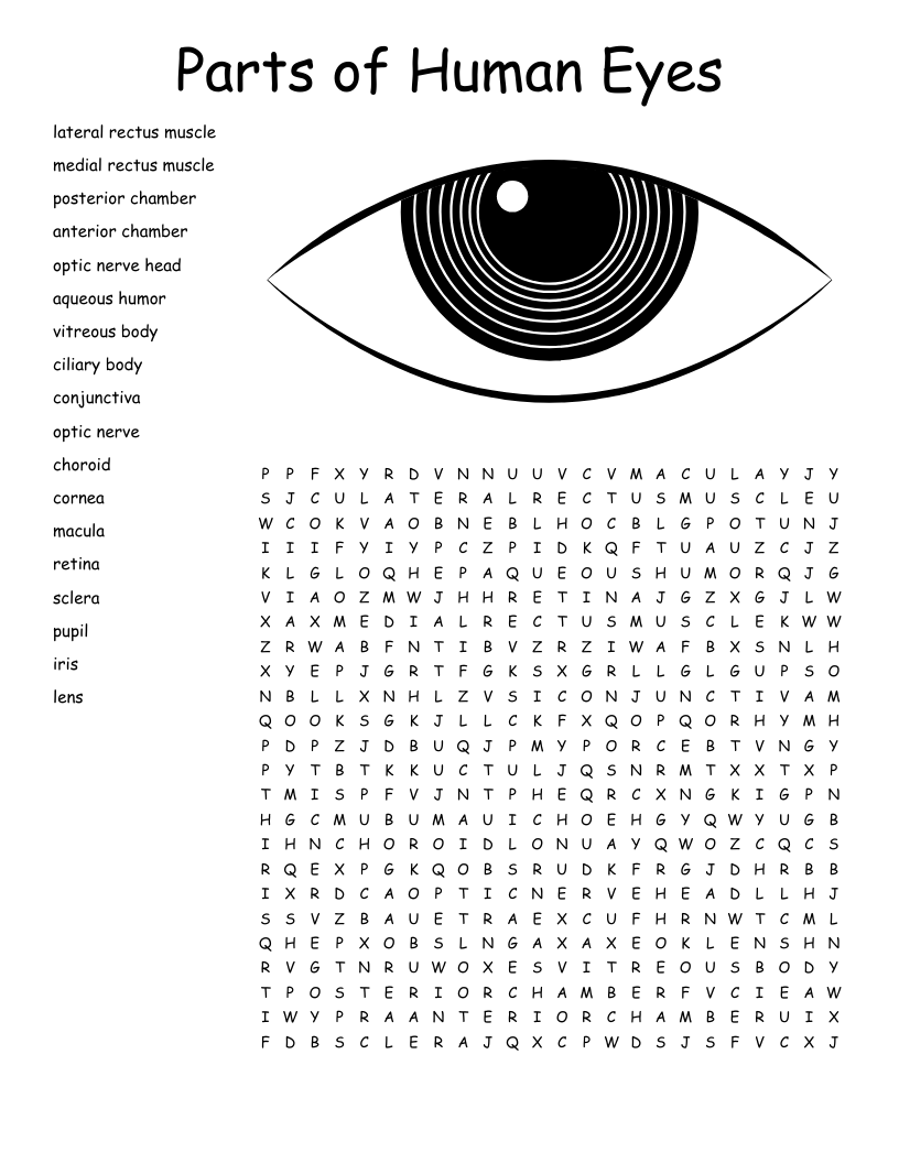 Optical Terminology Crossword WordMint Optical Terminology Crossword WordMint