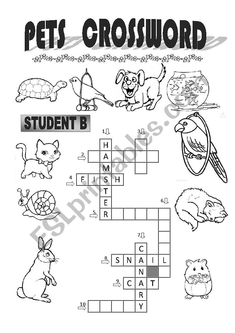 Pet Crossword Printable PDF