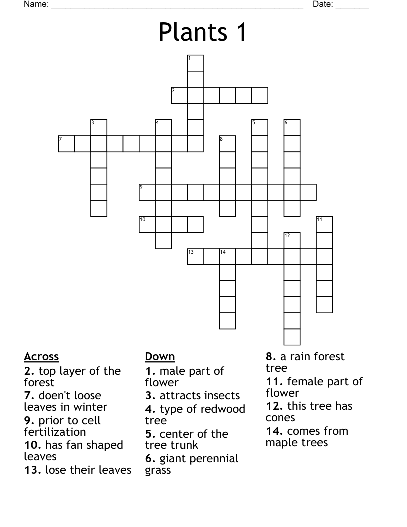 Plants 1 Crossword WordMint