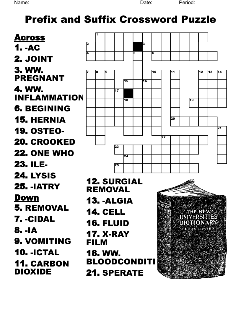 Prefix And Suffix Crossword Puzzle WordMint