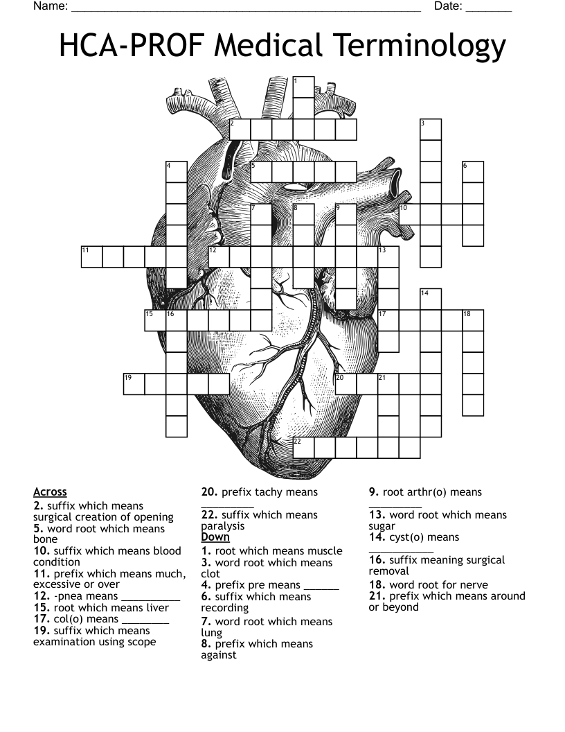 Prefix Crossword Puzzle Printable