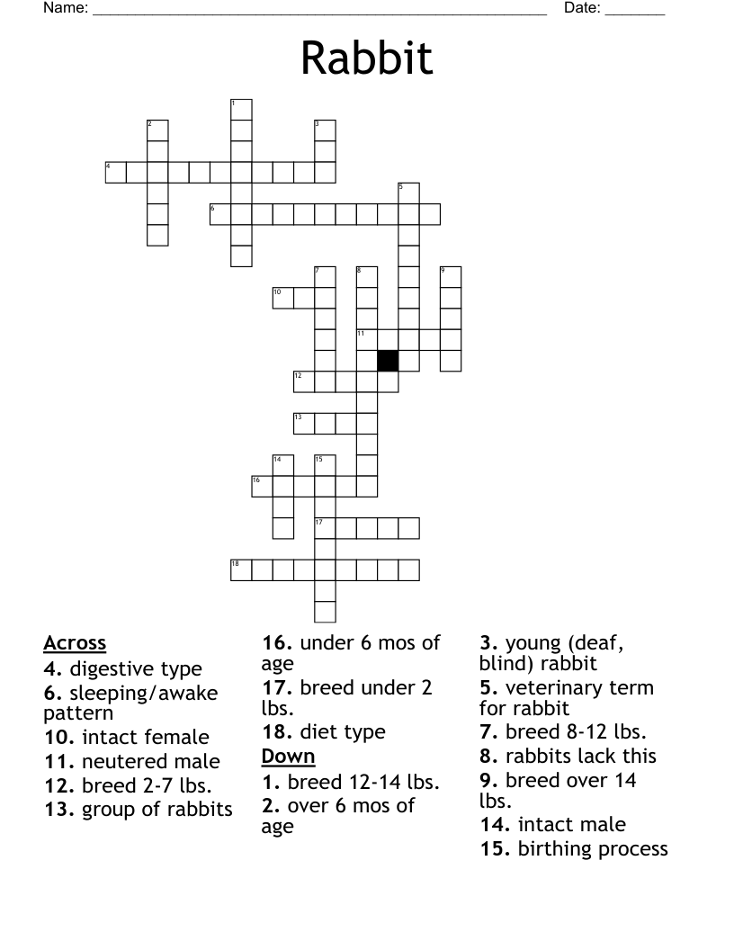 Rabbit Crossword WordMint