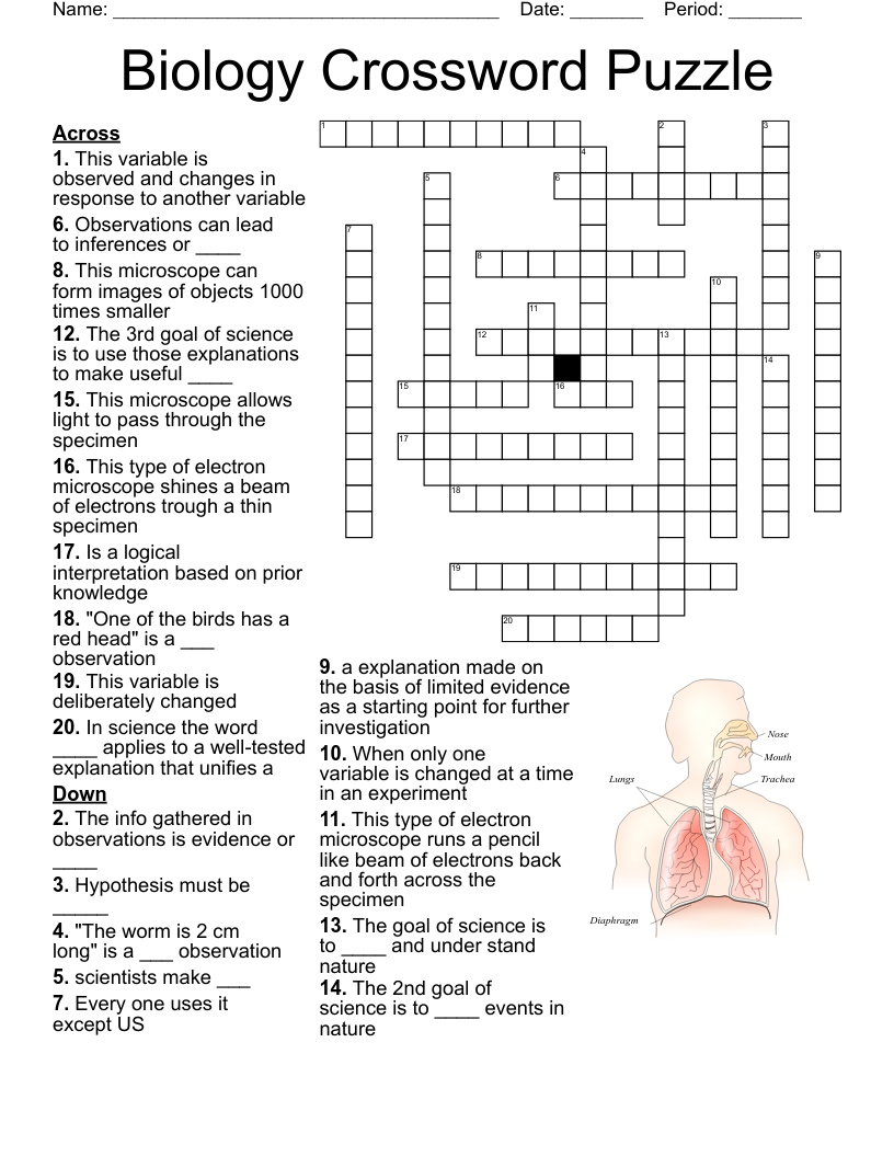 Science Crosswords Word Searches Bingo Cards WordMint