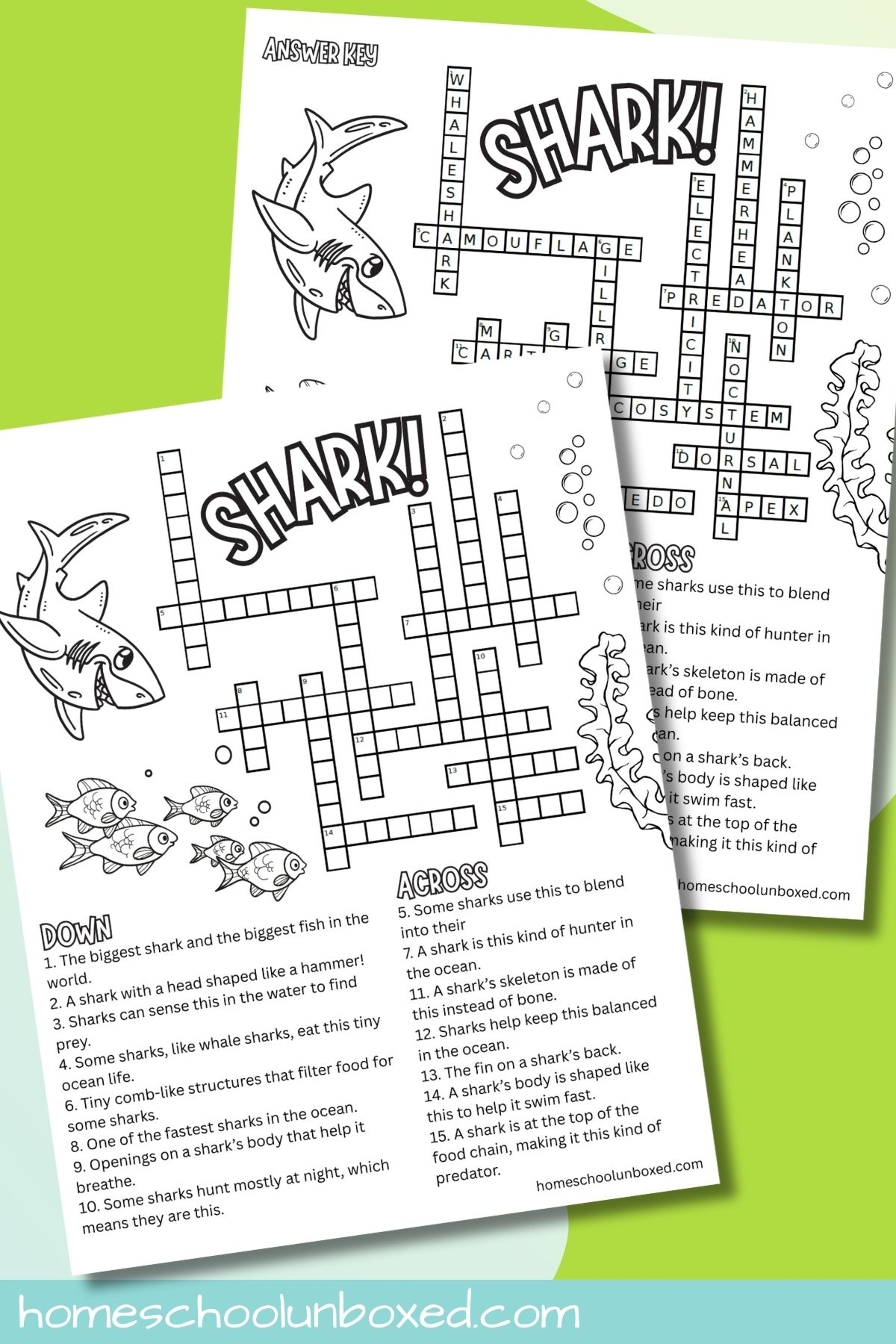 Shark Crossword Puzzles Free Printables For All Ages 