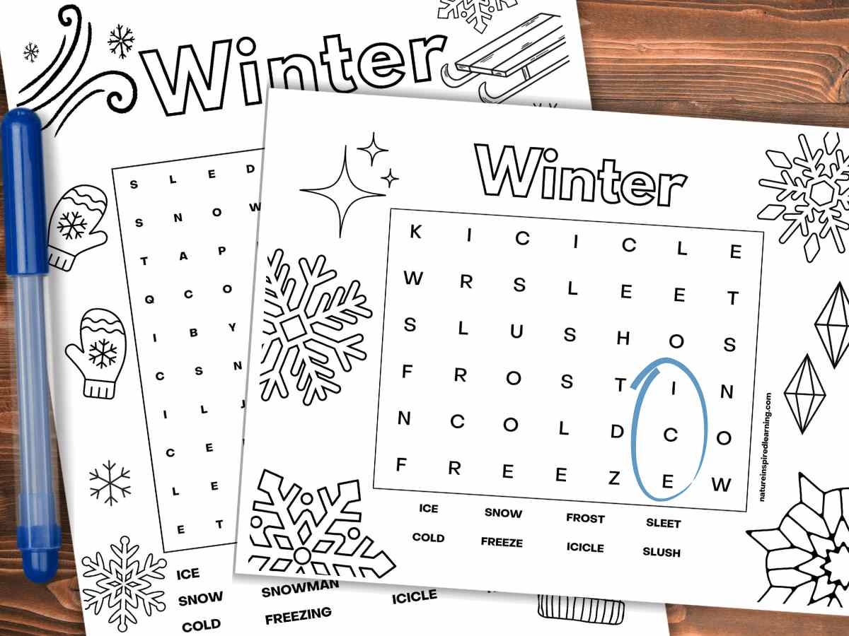 Winter Word Searches Nature Inspired Learning Winter Word Searches Nature Inspired Learning